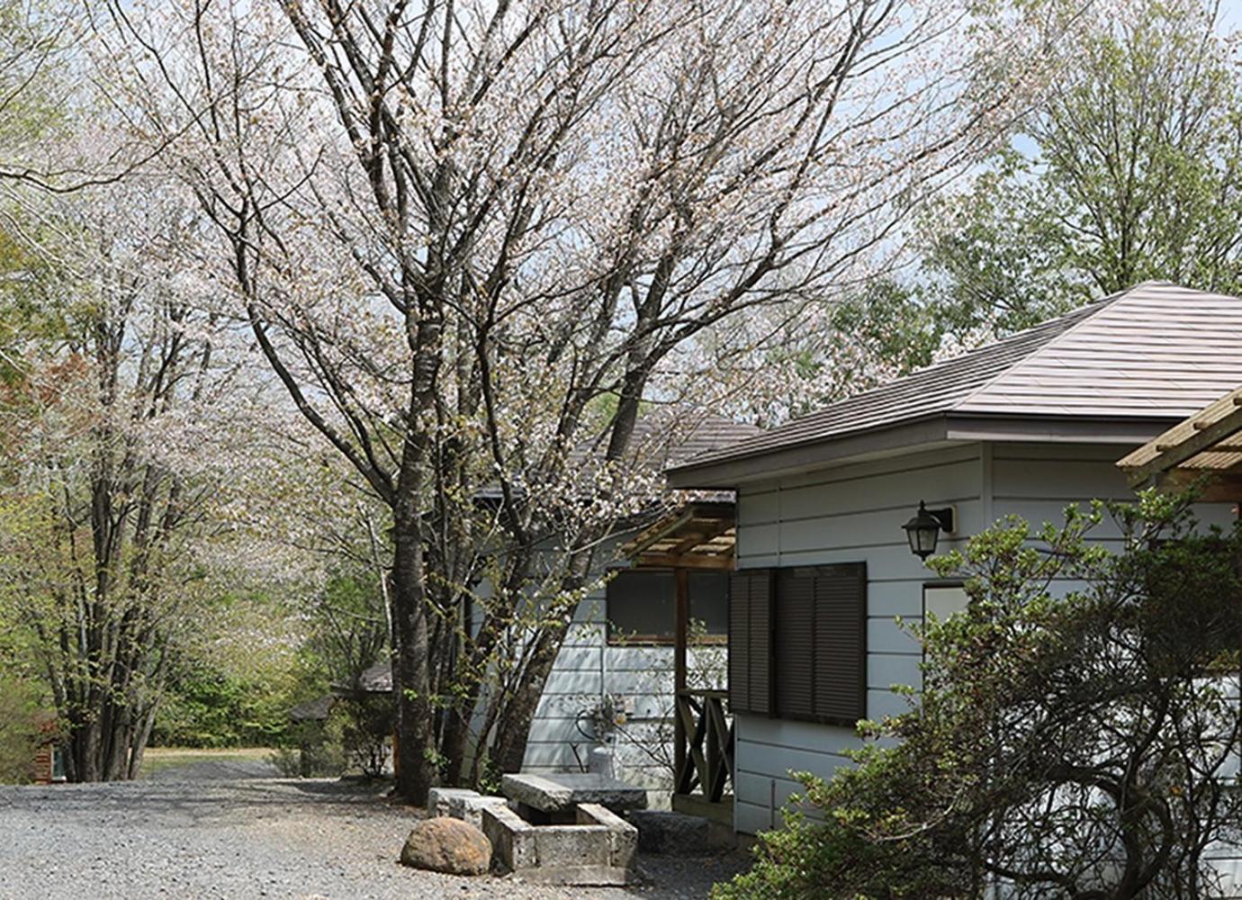 Washinosu Campground - Vacation Stay 85295V Motegi Kültér fotó